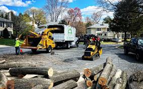 Best Leaf Removal  in Occoquan, VA